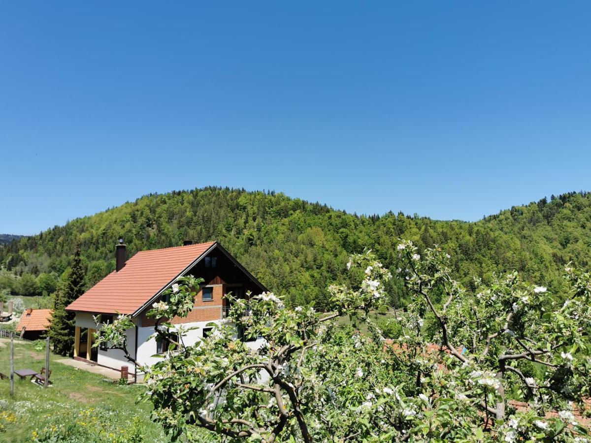 Planinski Mir Zaovine Esterno foto