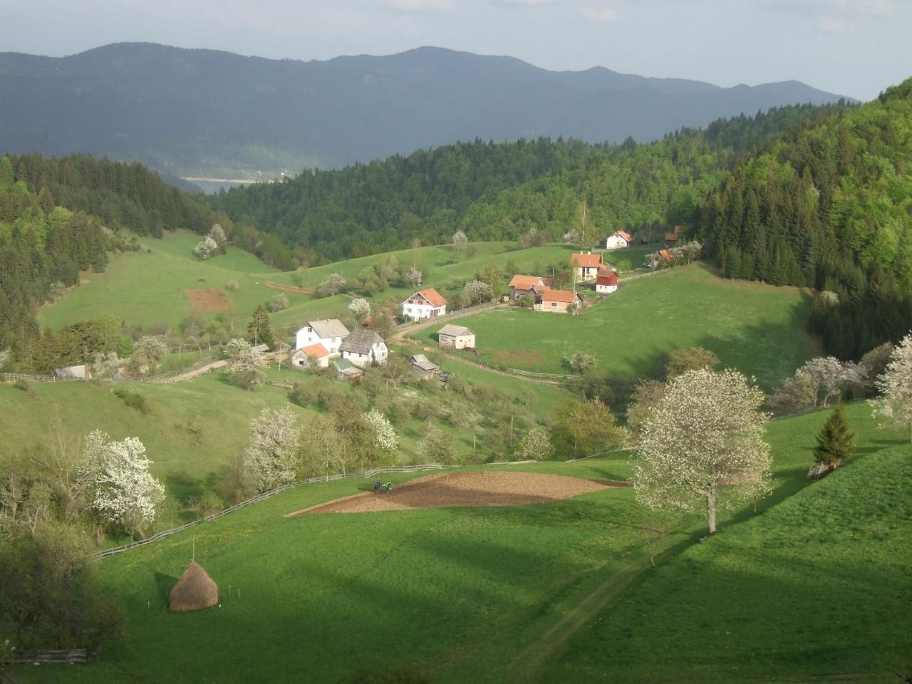 Planinski Mir Zaovine Esterno foto