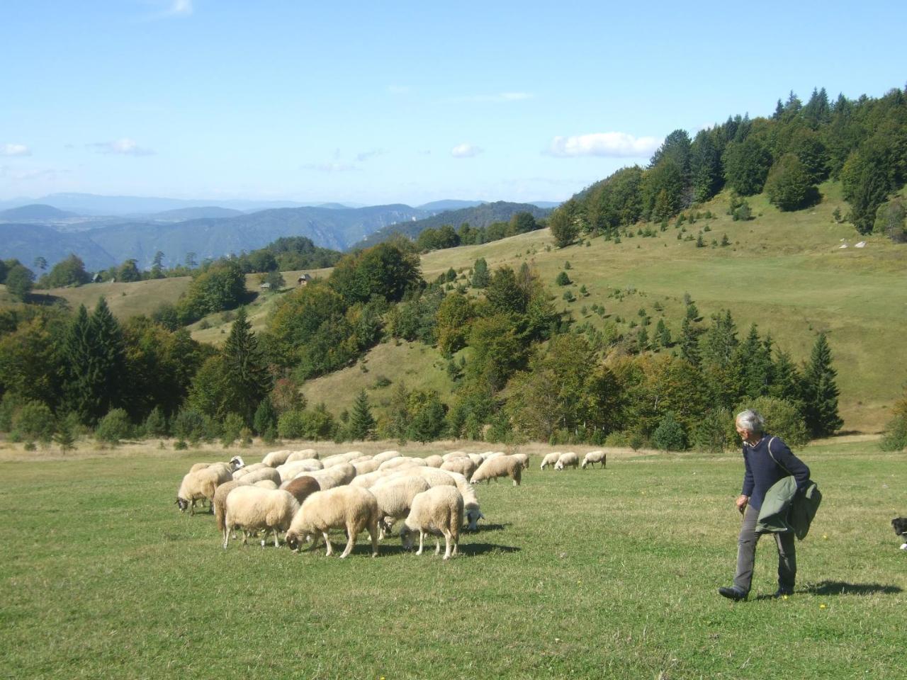 Planinski Mir Zaovine Esterno foto