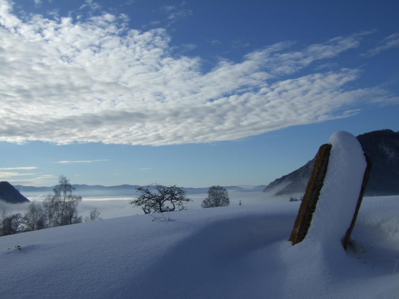 Planinski Mir Zaovine Esterno foto